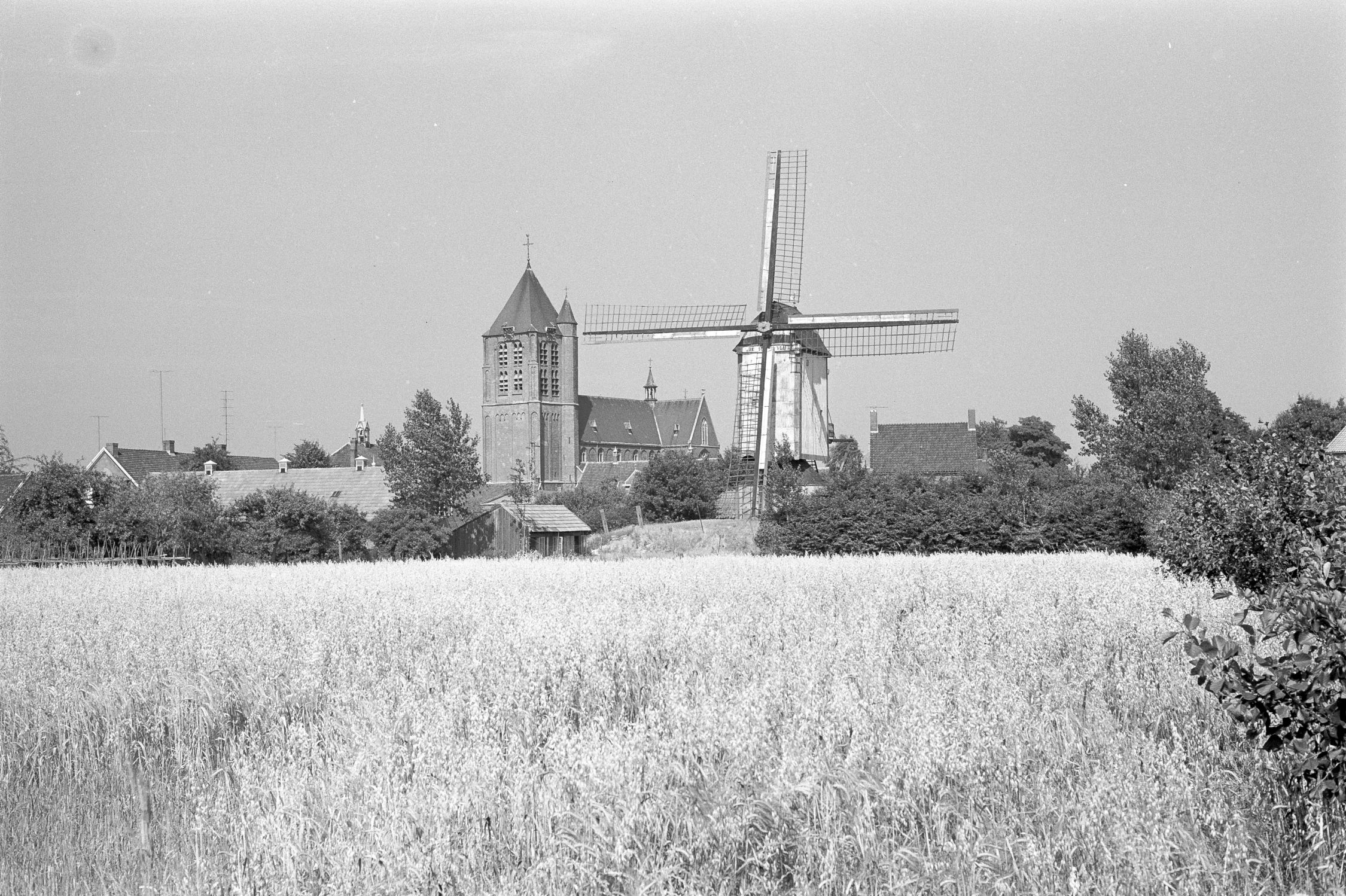 Pers02. Geffen DSN1299_43166 (jpg) Pers02. Geffen DSN1299_43166 (jpg)